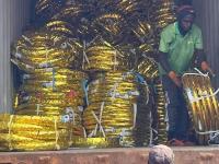 开云体育-埃及选手斩获多项佳绩，展现实力