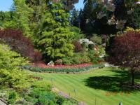 开云下载-比赛节奏高低起伏，胜负焦点意外战果令人叹赏