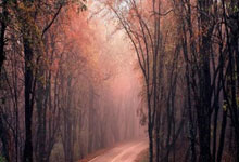 开云APP-从马洛卡到马德里，李刚仁导演逆转大戏，亚洲之光闪耀西甲