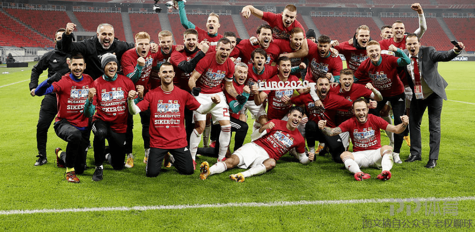 匈牙利队在欧预赛中面临重要的挑战 匈牙利队在欧预赛中面临重要的挑战